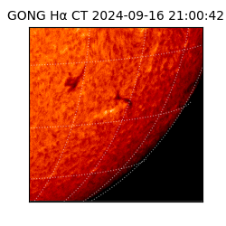 gong - 2024-09-16T21:00:42