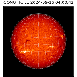 gong - 2024-09-16T04:00:42