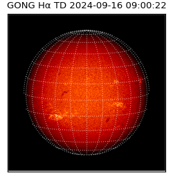 gong - 2024-09-16T09:00:22