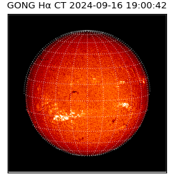 gong - 2024-09-16T19:00:42
