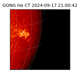 gong - 2024-09-17T21:00:42