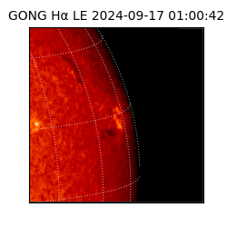 gong - 2024-09-17T01:00:42