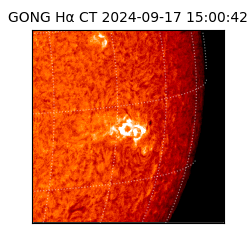 gong - 2024-09-17T15:00:42