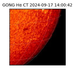 gong - 2024-09-17T14:00:42