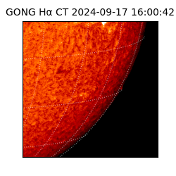 gong - 2024-09-17T16:00:42