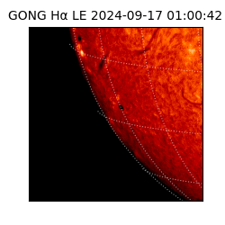 gong - 2024-09-17T01:00:42