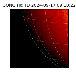 gong - 2024-09-17T09:10:22