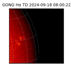 gong - 2024-09-18T08:00:22