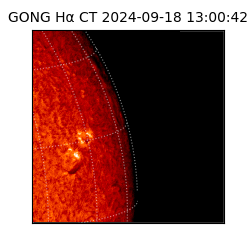 gong - 2024-09-18T13:00:42