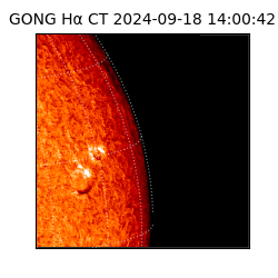 gong - 2024-09-18T14:00:42