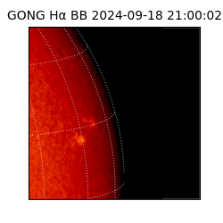 gong - 2024-09-18T21:00:02