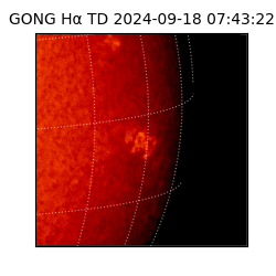 gong - 2024-09-18T07:43:22