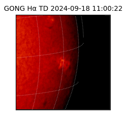 gong - 2024-09-18T11:00:22