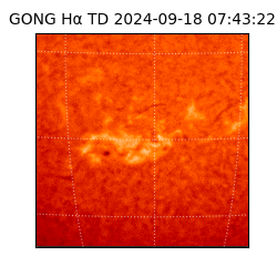 gong - 2024-09-18T07:43:22