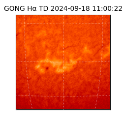 gong - 2024-09-18T11:00:22