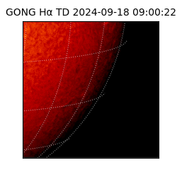 gong - 2024-09-18T09:00:22