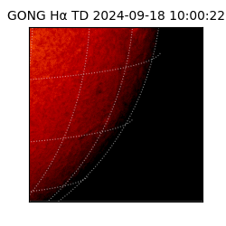 gong - 2024-09-18T10:00:22