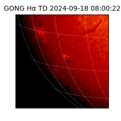 gong - 2024-09-18T08:00:22