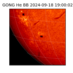 gong - 2024-09-18T19:00:02