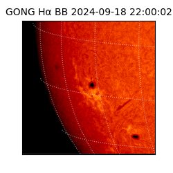 gong - 2024-09-18T22:00:02