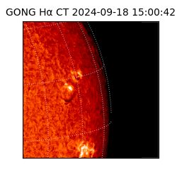 gong - 2024-09-18T15:00:42