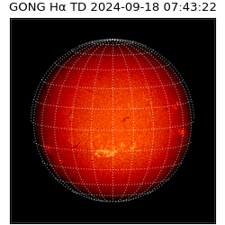 gong - 2024-09-18T07:43:22