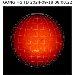 gong - 2024-09-18T08:00:22