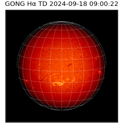 gong - 2024-09-18T09:00:22