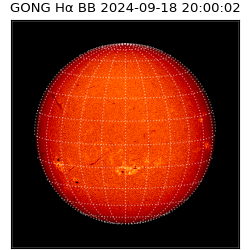 gong - 2024-09-18T20:00:02