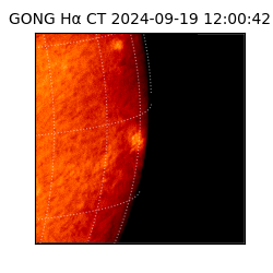 gong - 2024-09-19T12:00:42