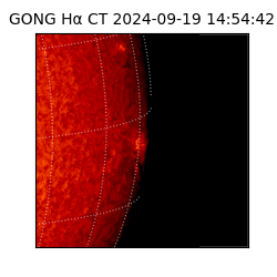 gong - 2024-09-19T14:54:42