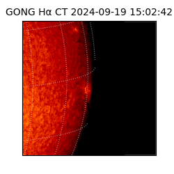 gong - 2024-09-19T15:02:42