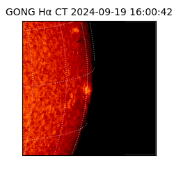 gong - 2024-09-19T16:00:42