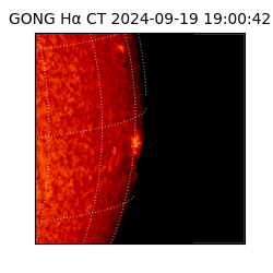 gong - 2024-09-19T19:00:42