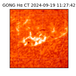 gong - 2024-09-19T11:27:42