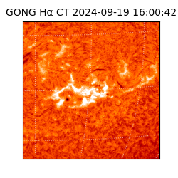 gong - 2024-09-19T16:00:42