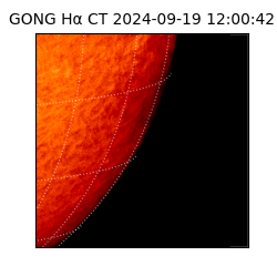 gong - 2024-09-19T12:00:42