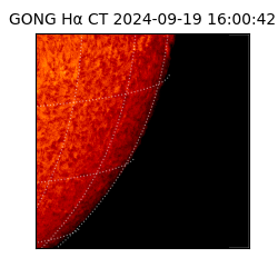 gong - 2024-09-19T16:00:42