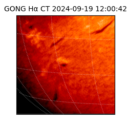 gong - 2024-09-19T12:00:42