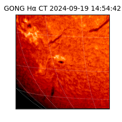 gong - 2024-09-19T14:54:42