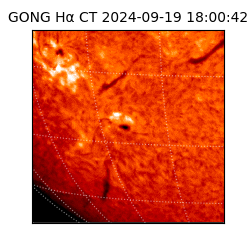 gong - 2024-09-19T18:00:42