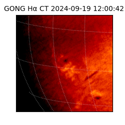 gong - 2024-09-19T12:00:42