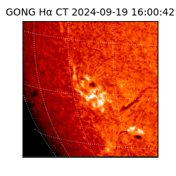 gong - 2024-09-19T16:00:42