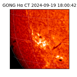 gong - 2024-09-19T18:00:42