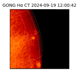 gong - 2024-09-19T12:00:42