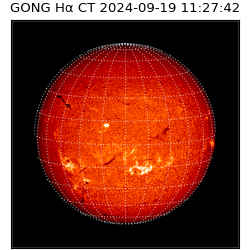 gong - 2024-09-19T11:27:42