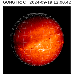 gong - 2024-09-19T12:00:42