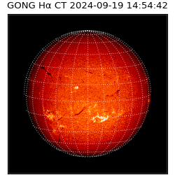 gong - 2024-09-19T14:54:42