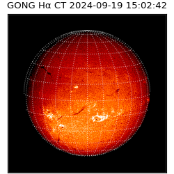 gong - 2024-09-19T15:02:42