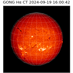 gong - 2024-09-19T16:00:42